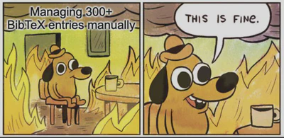 Meme depicting a cartoon dog sitting calmly in a room engulfed in flames, saying 'This is fine.' The dog is labeled 'Managing 300+ BibTeX entries manually'.