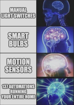 Meme with four panels, each showing a brain with increasing complexity. The panels are labeled: 'MANUAL LIGHT SWITCHES', 'SMART BULBS', 'MOTION SENSORS', and '137 AUTOMATIONS RUNNING YOUR ENTIRE HOME'.